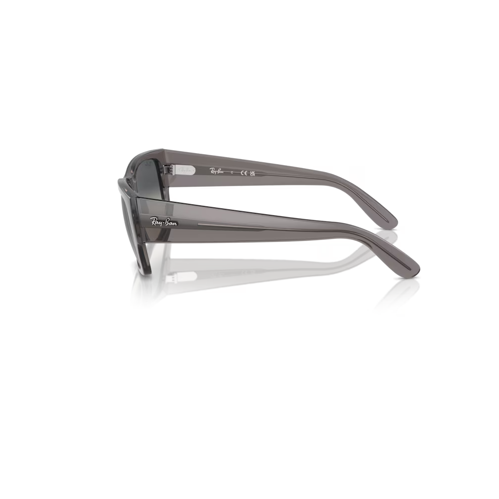 Ray-Ban RB0947S-667571 Carlos - Imagen 2